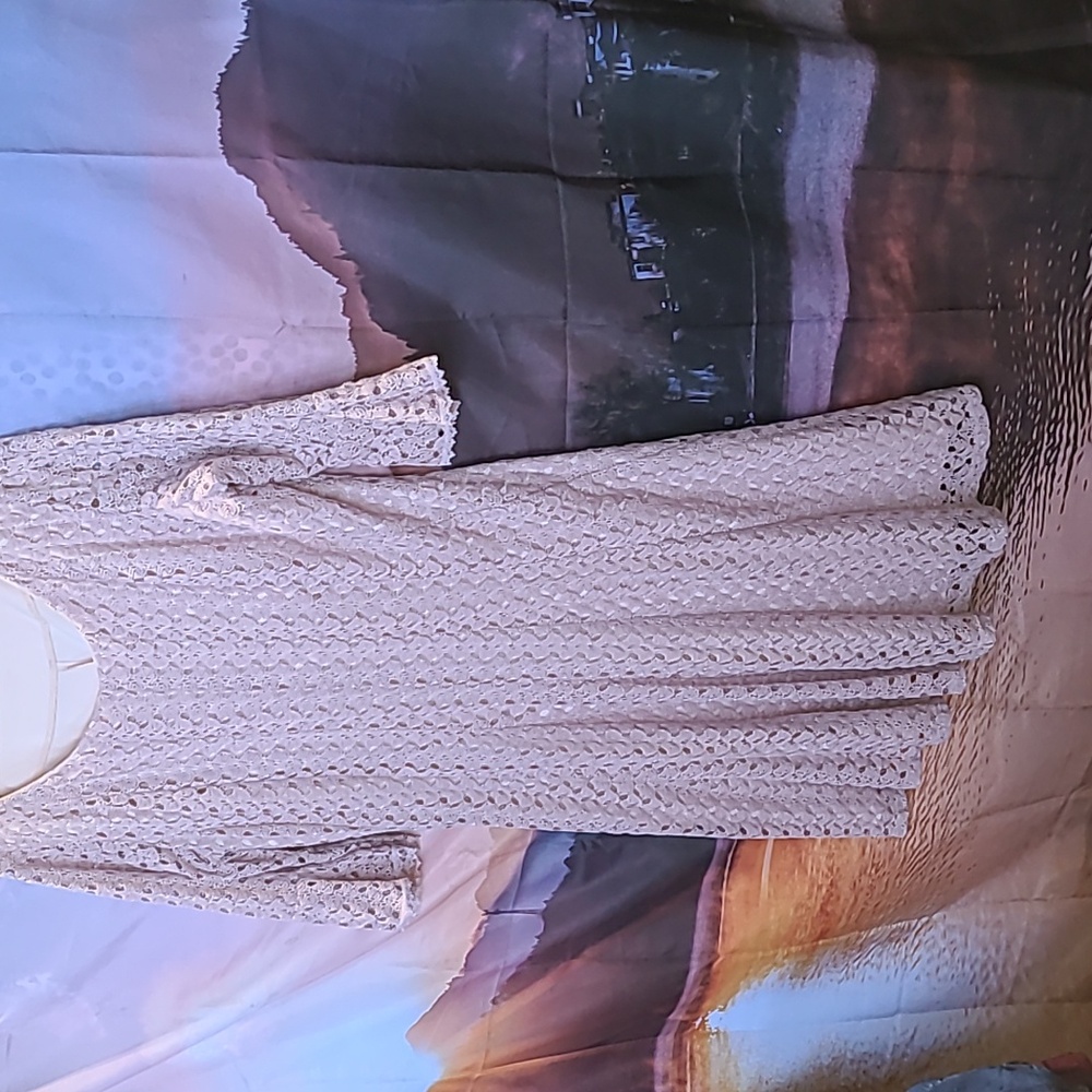Elegant Cream Lace Dress